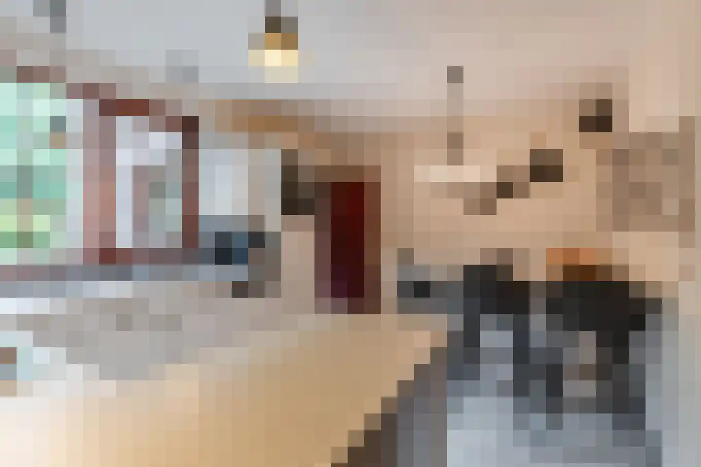 Parijslaan 59 Eindhoven thumbnail 15