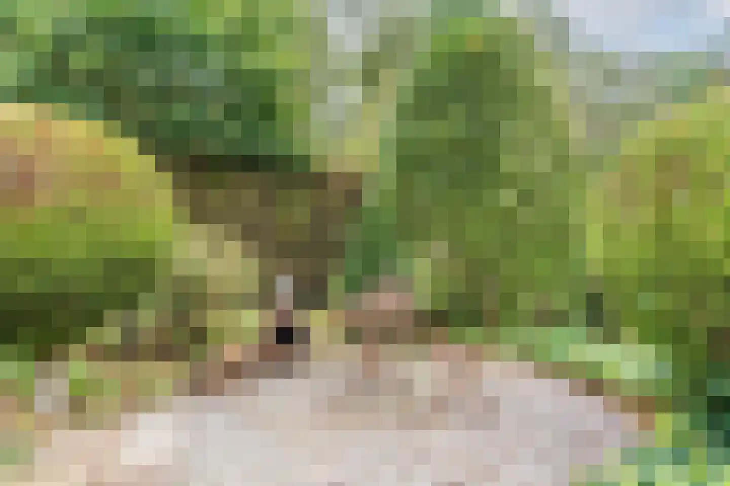 Parijslaan 59 Eindhoven thumbnail 33