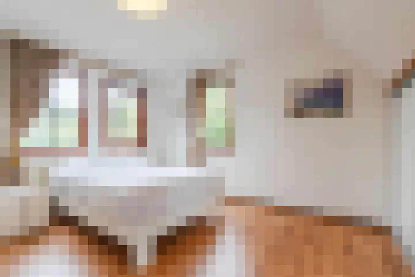 Parijslaan 59 Eindhoven thumbnail 36