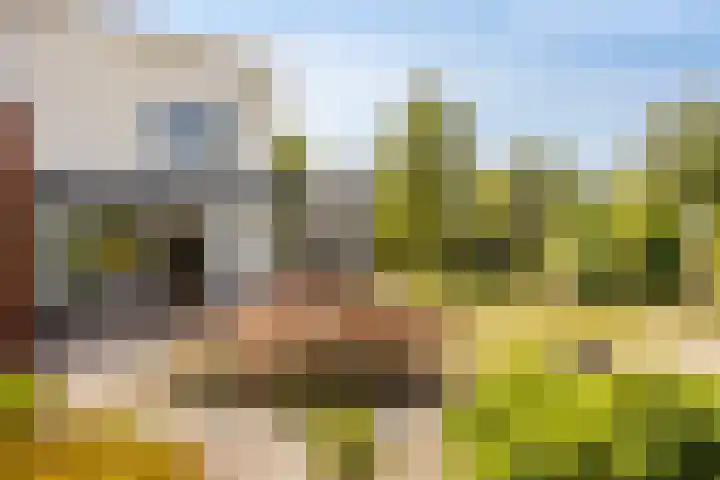 Parijsstraat 1 Hengelo thumbnail 29