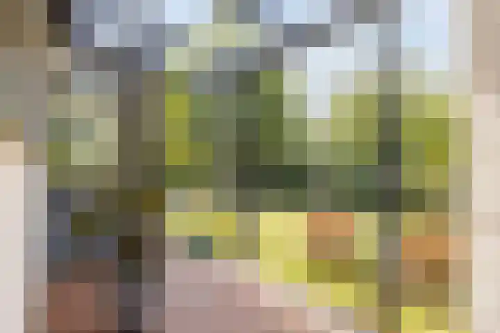 Parijsstraat 1 Hengelo thumbnail 34
