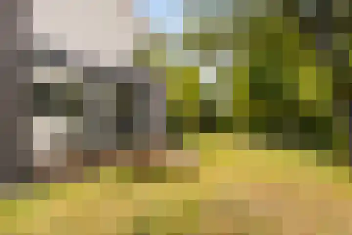Parijsstraat 1 Hengelo thumbnail 36