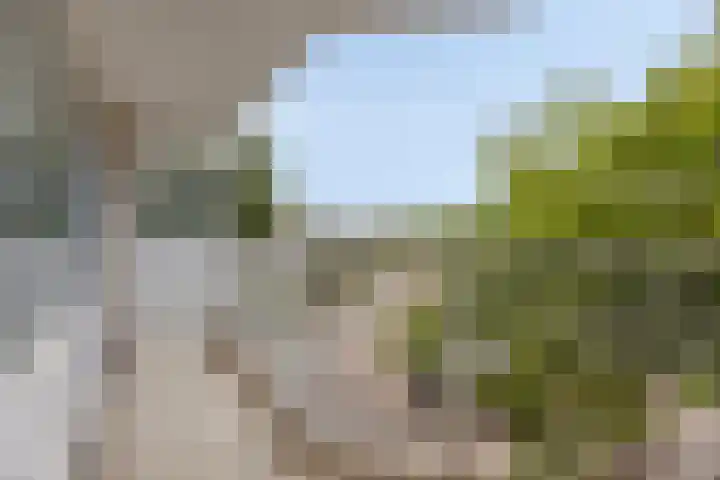 Parijsstraat 123 Zoetermeer thumbnail 15