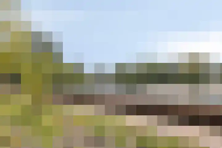 Parijsstraat 123 Zoetermeer thumbnail 18