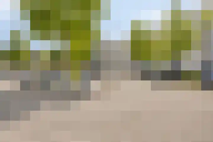 Parijsstraat 123 Zoetermeer thumbnail 20