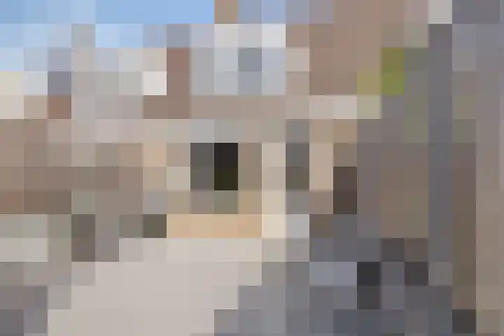 Parijsstraat 193 Zoetermeer thumbnail 9