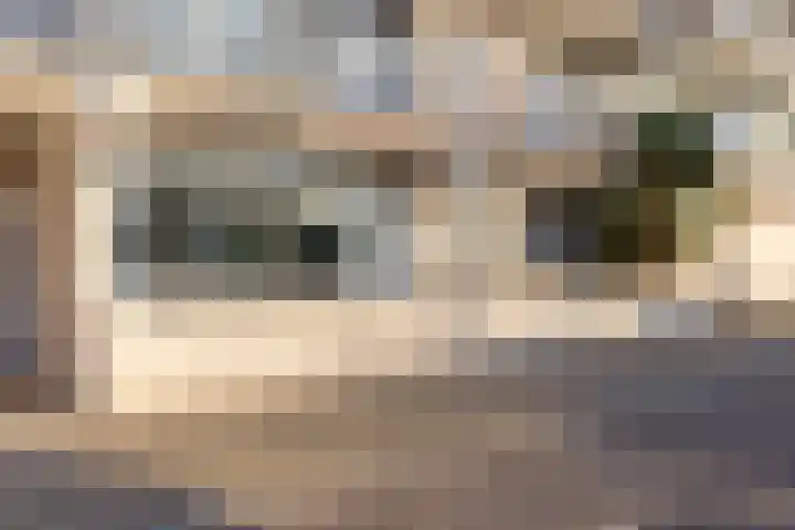 Parijsstraat 39 Zoetermeer thumbnail 30