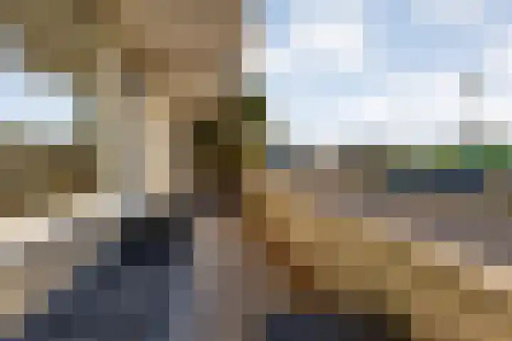Parijsstraat 39 Zoetermeer thumbnail 32