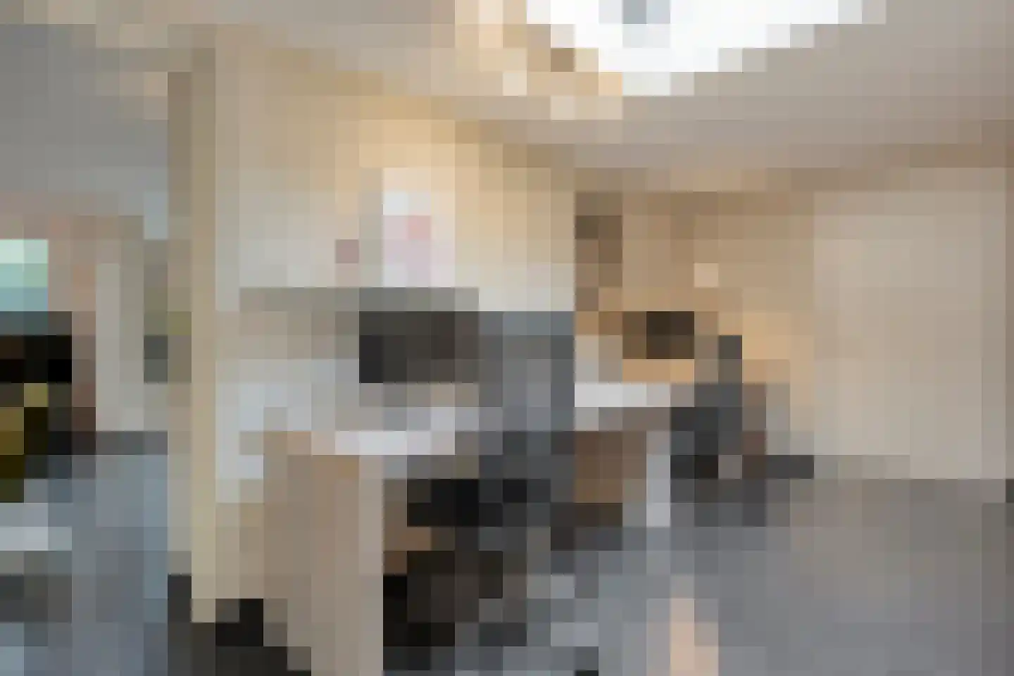 Parijsstraat 5 Hengelo thumbnail 30