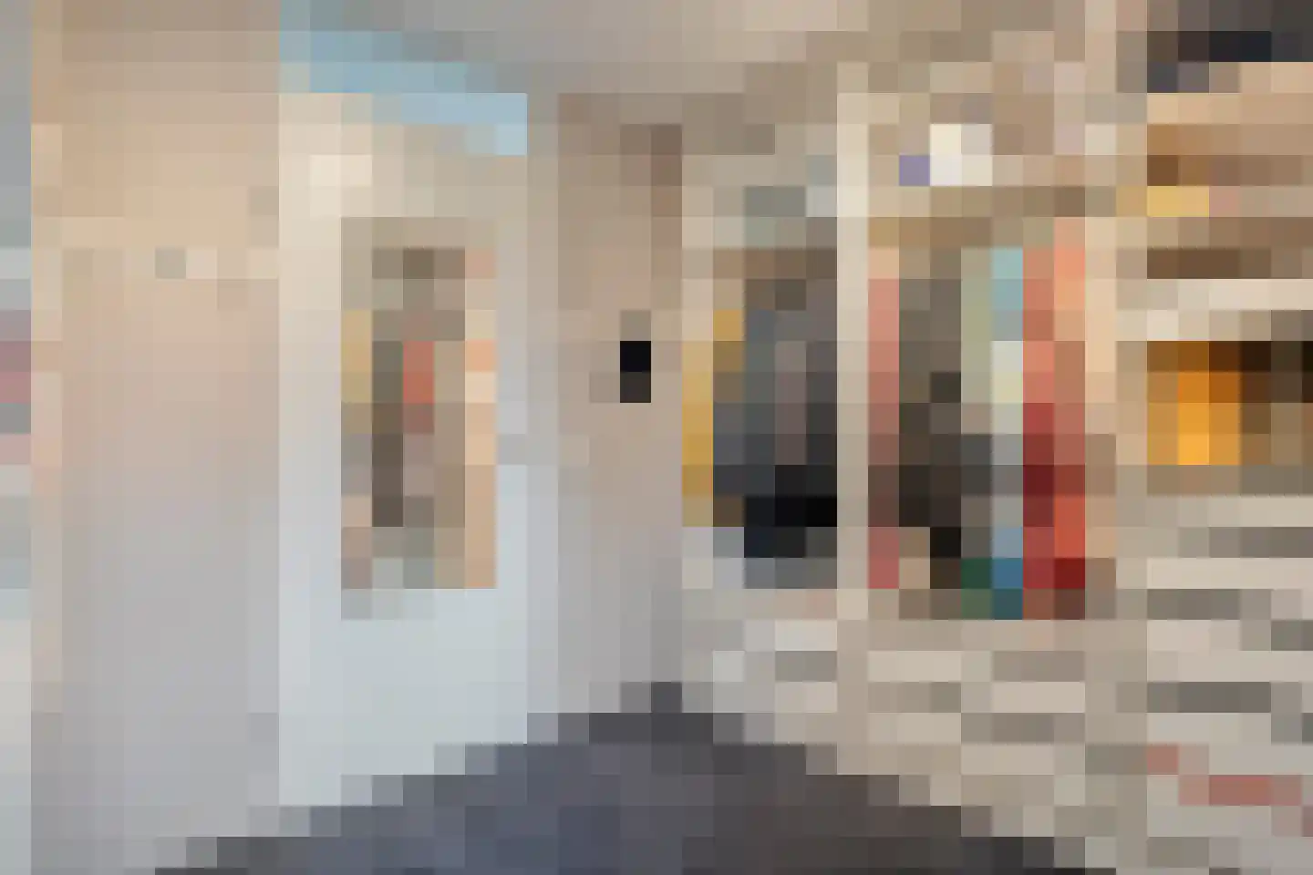 Parijsstraat 5 Hengelo thumbnail 37