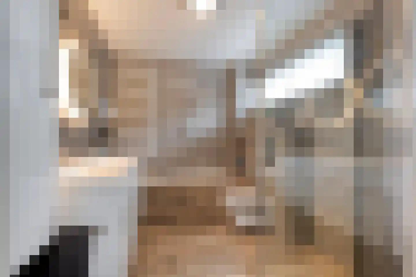Parijsstraat 5 Hengelo thumbnail 41