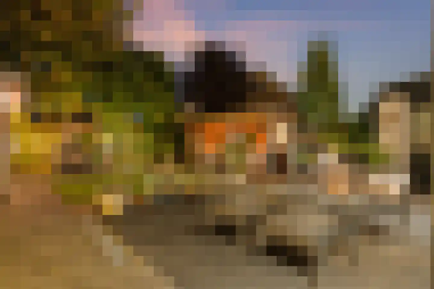Parijsstraat 5 Hengelo thumbnail 66