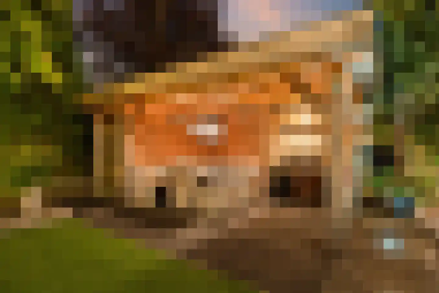 Parijsstraat 5 Hengelo thumbnail 71