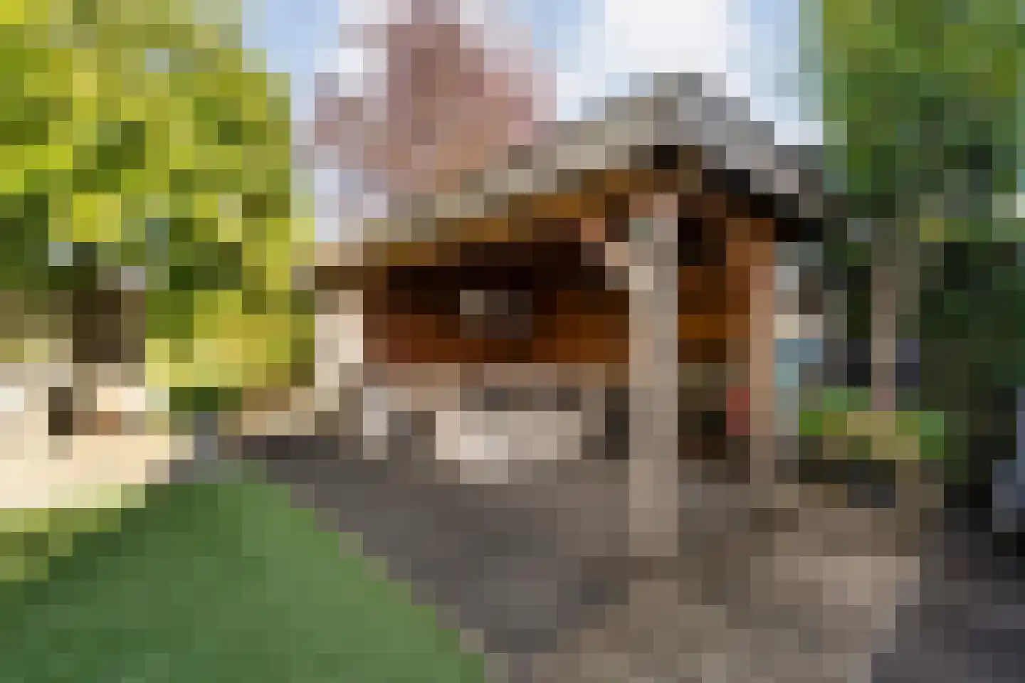 Parijsstraat 5 Hengelo thumbnail 72