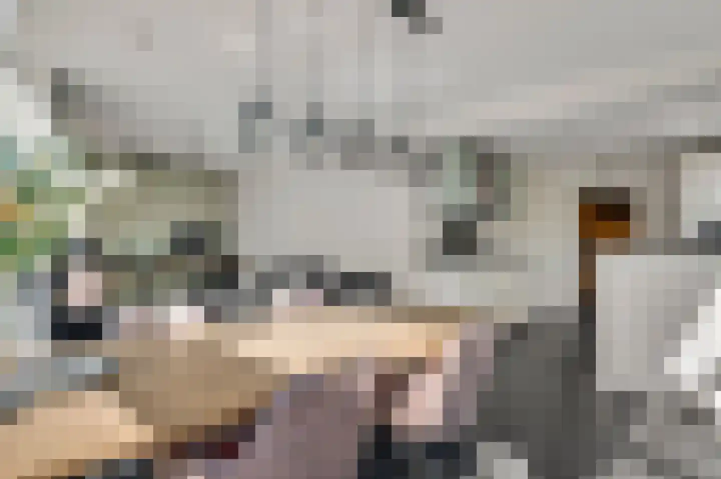 Park 2 Heythuysen thumbnail 19