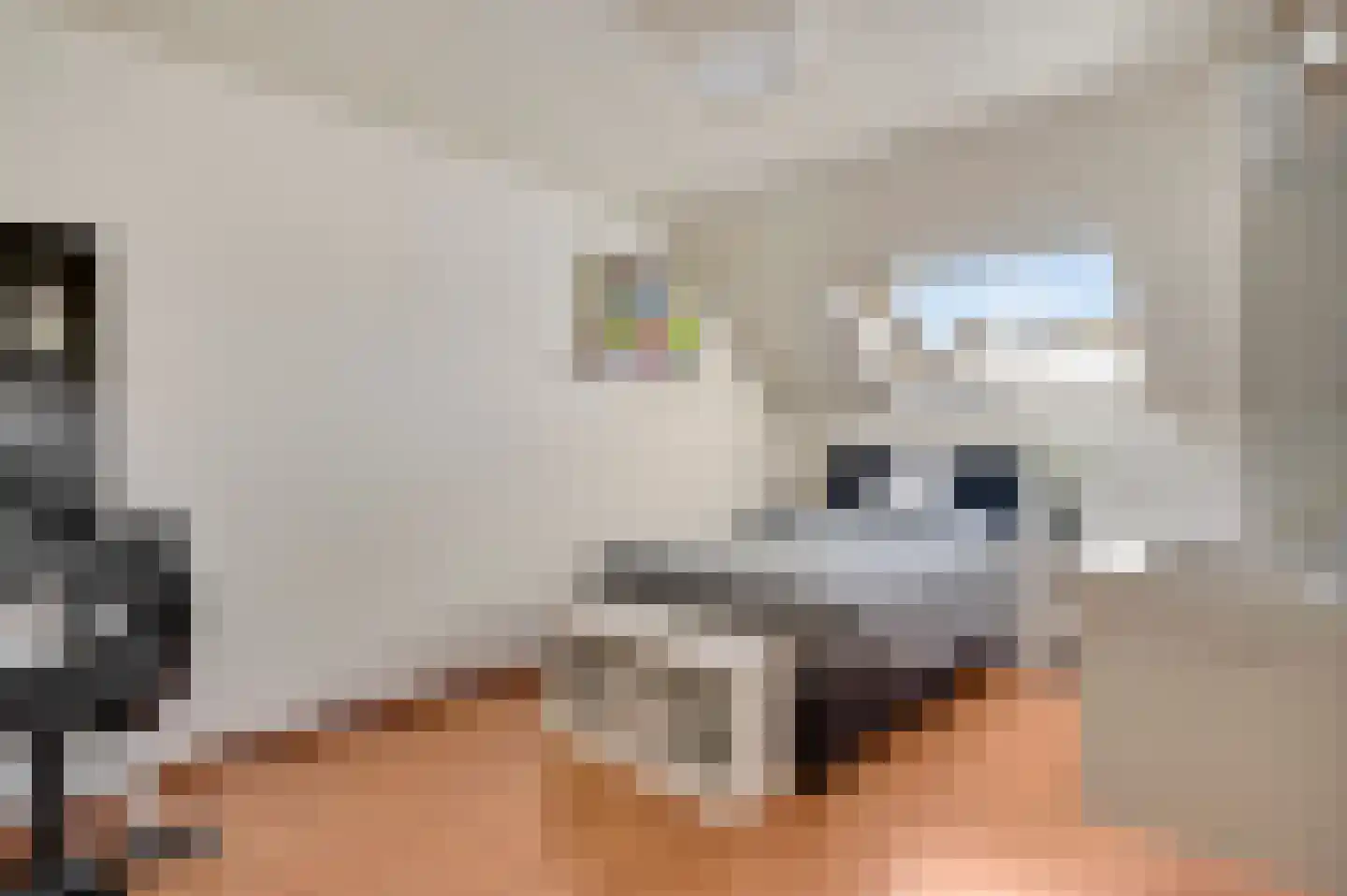 Park 2 Heythuysen thumbnail 32