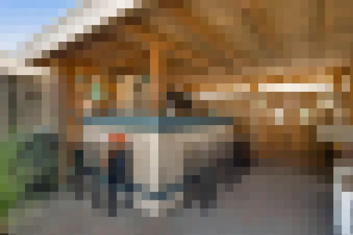 Park 2 Heythuysen thumbnail 53