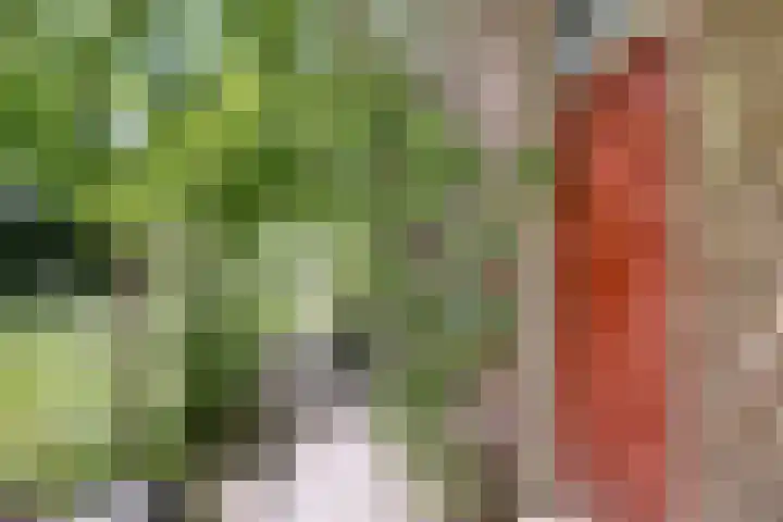 Park 65 Nuenen thumbnail 32