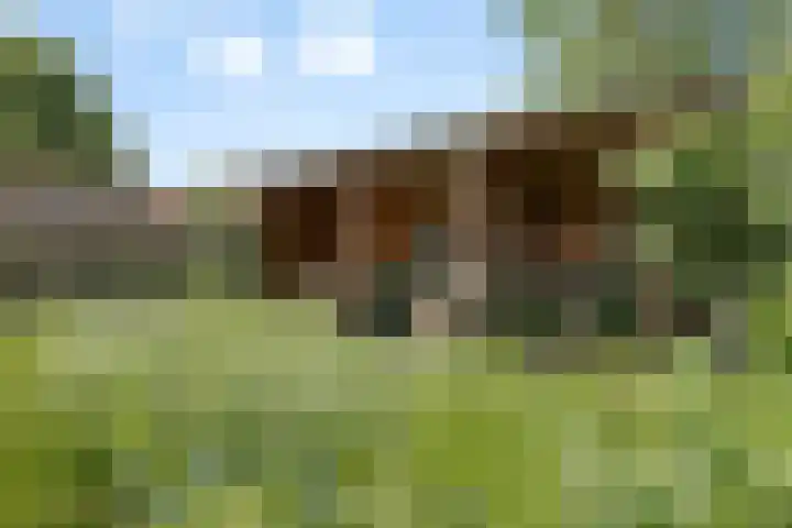Park 65 Nuenen thumbnail 34