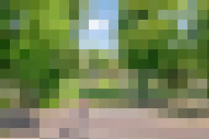Park 65 Nuenen thumbnail 40