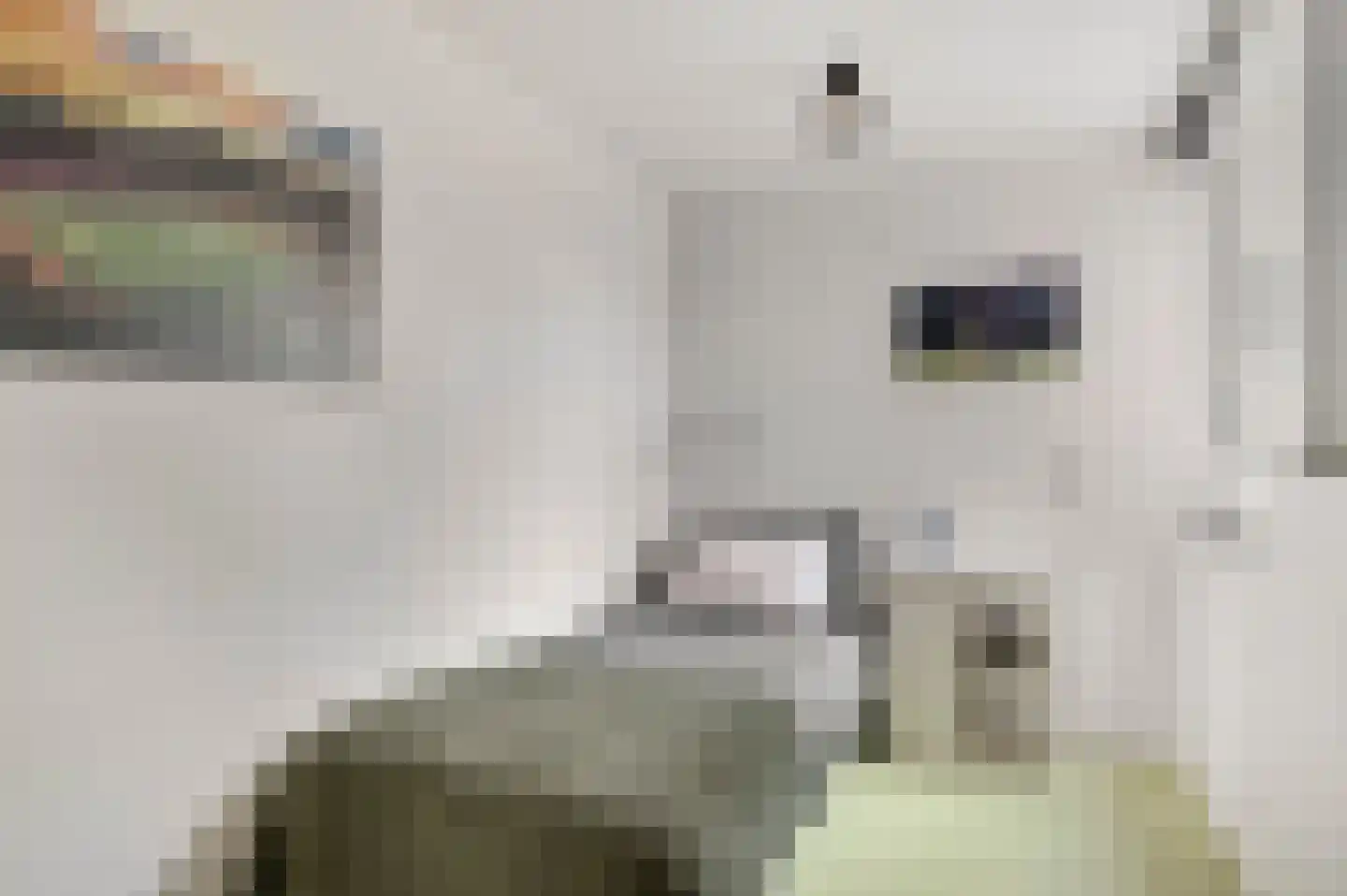 Park 8 Heythuysen thumbnail 37