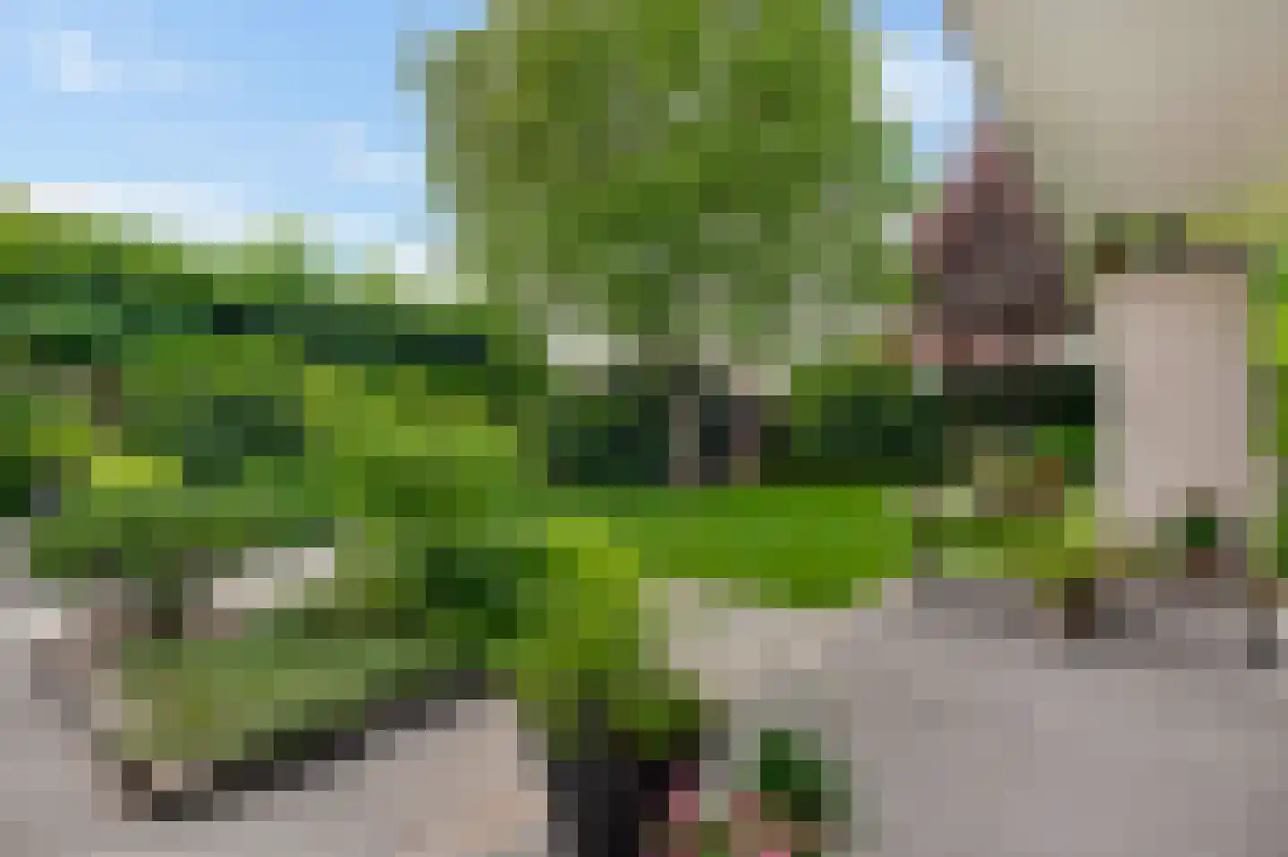 Park 8 Heythuysen thumbnail 50