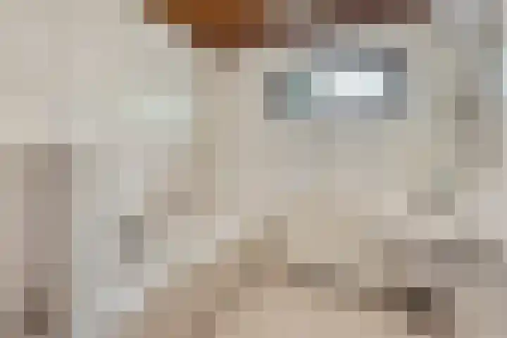 Park 8 Landgraaf thumbnail 23