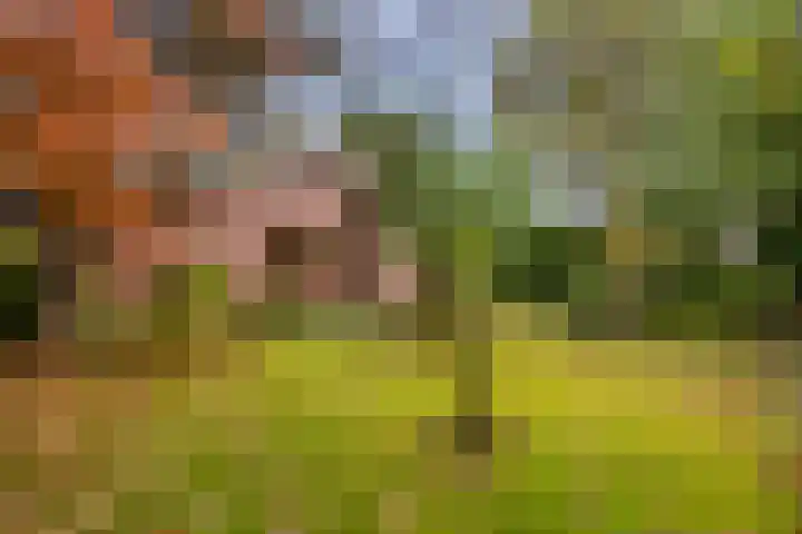 Park 8 Landgraaf thumbnail 32