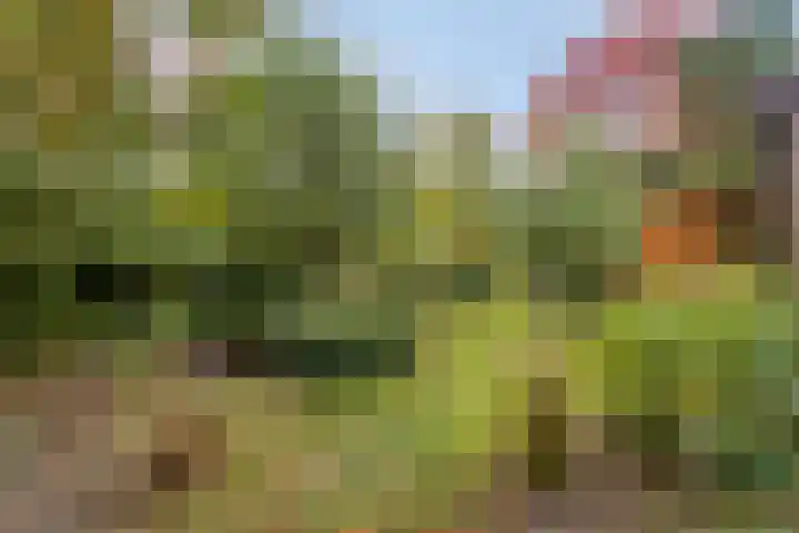 Park 8 Landgraaf thumbnail 34