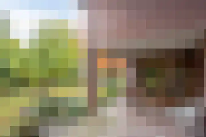 Park 8 Landgraaf thumbnail 35