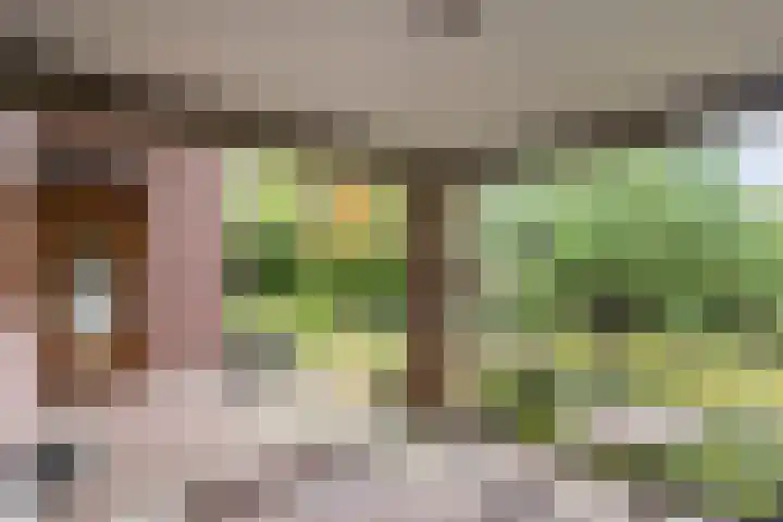 Park 8 Landgraaf thumbnail 36