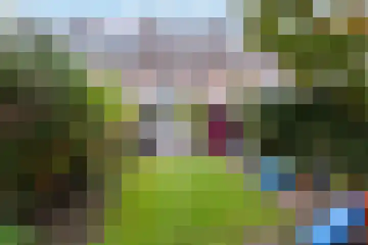 Park Arenberg 30 De Bilt thumbnail 42