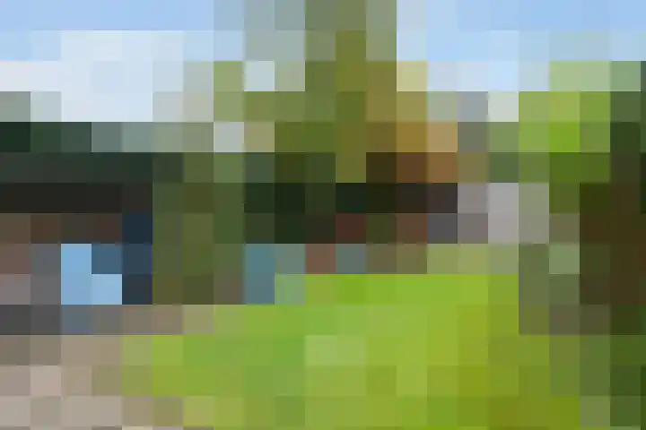Park Arenberg 30 De Bilt thumbnail 46