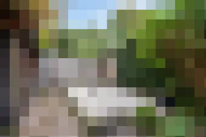 Park Arenberg 30 De Bilt thumbnail 47