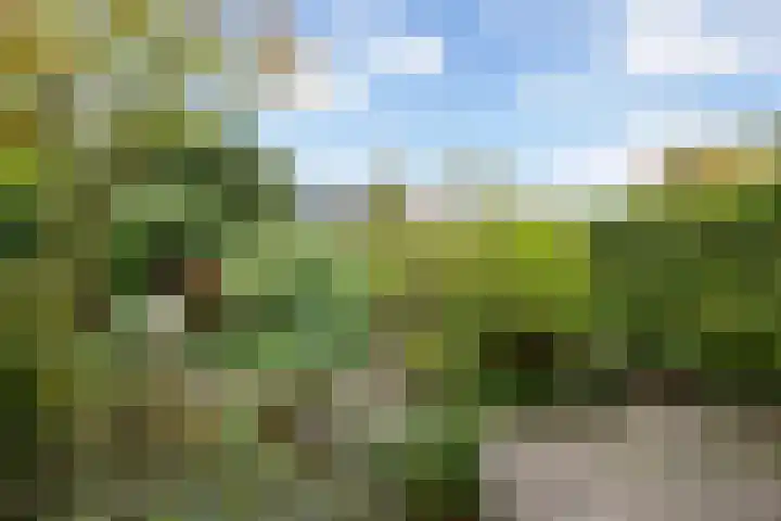 Park Arenberg 30 De Bilt thumbnail 51