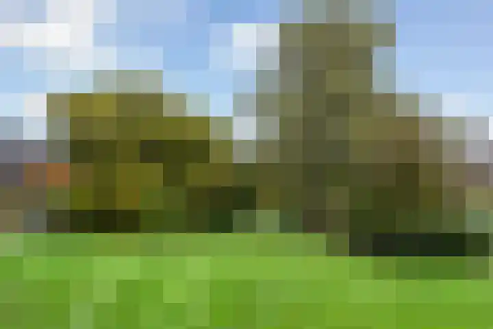 Park Arenberg 30 De Bilt thumbnail 54