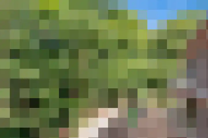 Park Beresteyn 37 Voorschoten thumbnail 17