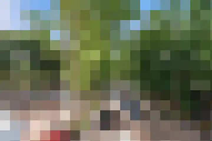 Park Beresteyn 37 Voorschoten thumbnail 33