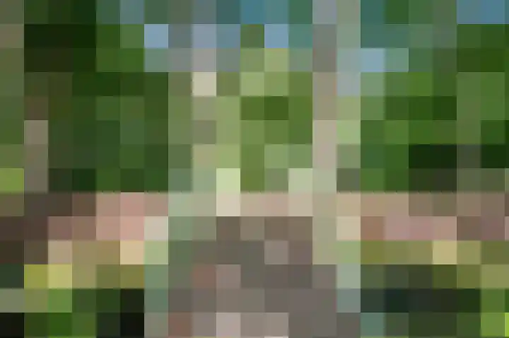 Park Beresteyn 37 Voorschoten thumbnail 35