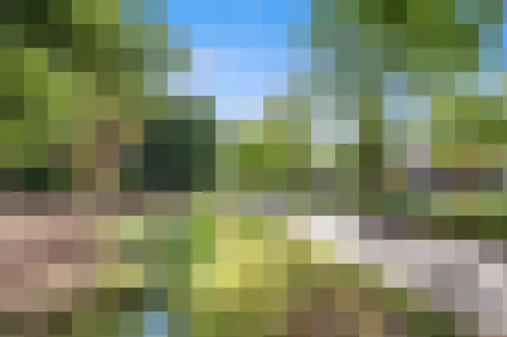 Park Beresteyn 37 Voorschoten thumbnail 36