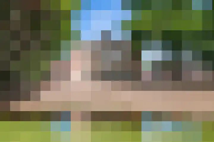 Park Beresteyn 37 Voorschoten thumbnail 4