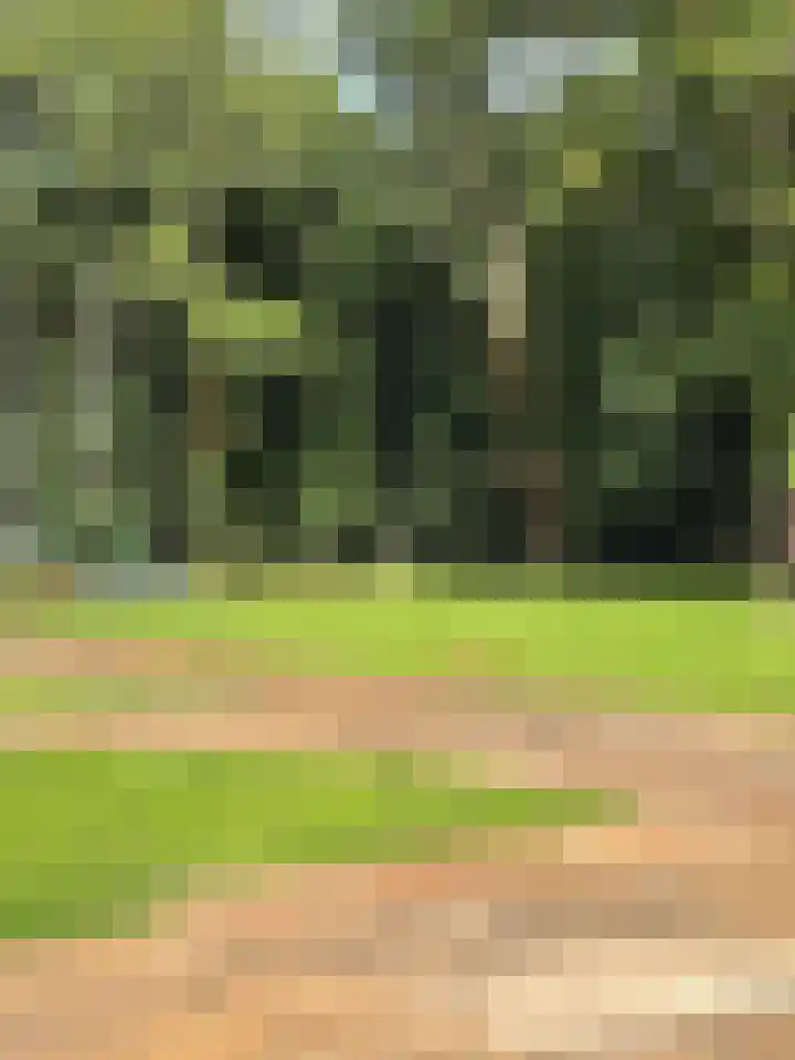Park Beresteyn 52 Voorschoten thumbnail 24