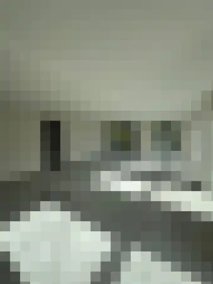 Park Beresteyn 52 Voorschoten thumbnail 7