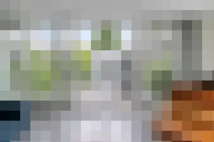 Park Berkenoord 40 Pijnacker thumbnail 19