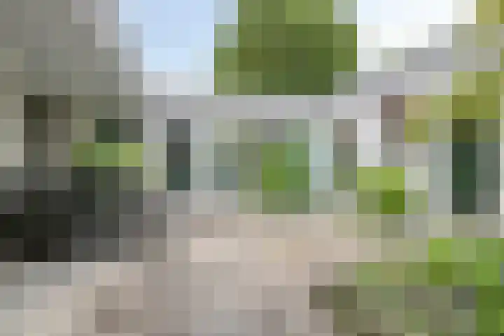 Park Berkenoord 40 Pijnacker thumbnail 43