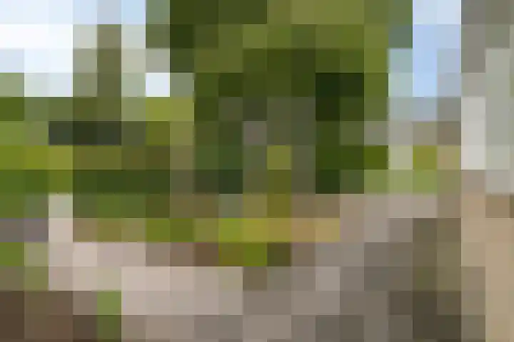 Park Berkenoord 40 Pijnacker thumbnail 44