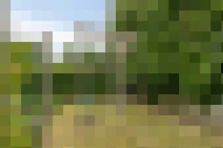 Park Berkenoord 40 Pijnacker thumbnail 45