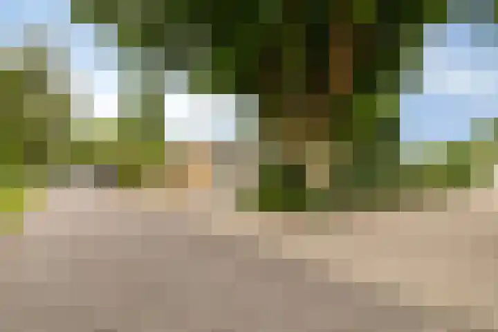 Park Berkenoord 40 Pijnacker thumbnail 47