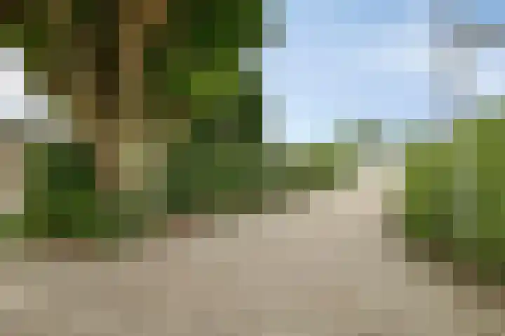 Park Berkenoord 40 Pijnacker thumbnail 48