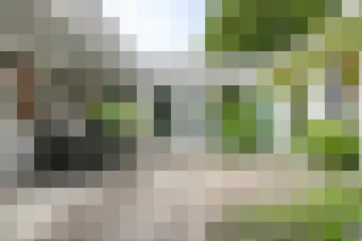 Park Berkenoord 40 Pijnacker thumbnail 5